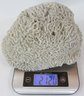 Large Natural CORAL, Weighs Approximately 2,120g