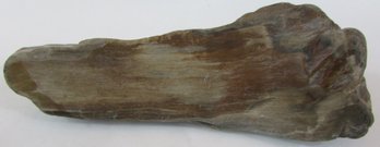 Petrified Wood???, Unknown, Irregular Shape, Approximately 796g