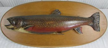 Vintage TAXIDERMY, Colorful RAINBOW TROUT, Wooden Plaque, Measures Approx 26' Long