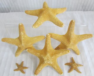 Lot Of Six 6 Natural STARFISH Seashells, Largest Approx 6'