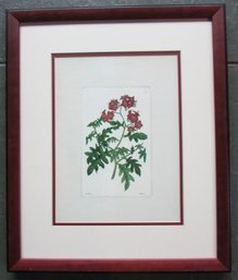 Vintage WEDDELL Print, Botanical Red Flowers, Approx 19' X 16,' Nicely Framed