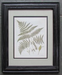 Vintage SYLVIA NOVAK Print, Botanical FERN Leaf, Approx 17' X 14,' Nicely Framed