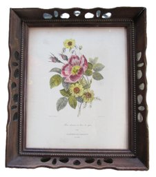 Vintage P.J. REDOUTE Print, French BOTANICAL Floral, Approx 15' X 12.5,' Nicely Framed