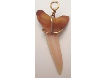Vintage Drop TOOTH PENDANT, With Hand Shaped Setting & Carrier Loop, Gold Tone Base Metal Setting