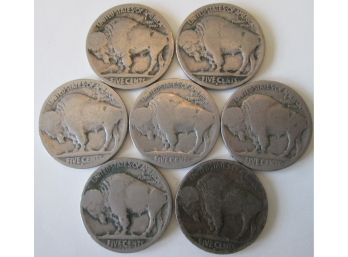 SET Of 7 COINS! Authentic DENVER & SAN FRANCISCO Mints, BUFFALO NICKELS $.05, United States Type Coins