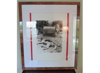 Signed, Vintage FRAMED DOGS Photo Art, 'W. VIRGINIA DOGS' Circa 1971, Printed & Nicely Framed