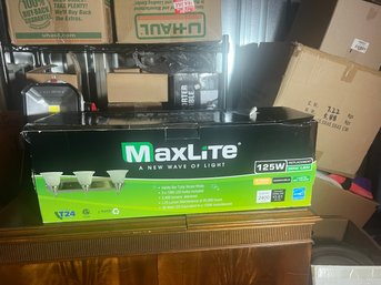 MaxLite Indoor LED Lantern /Vanity