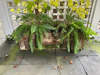 Large Outdoor Oblong Cement Planter ( A )