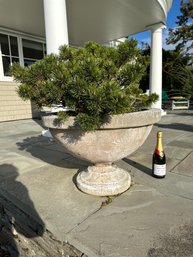 Round Cement Pedestal Form Urn