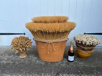 3 Dried Grain Topiaries Assorted Containers