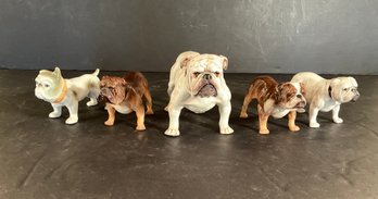 5 Royal Doulton Porcelain Bull Dogs