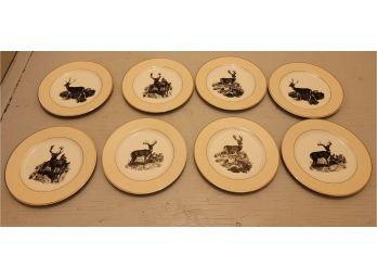 8 - 8' William Sonoma Deer Plates