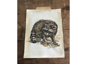 Small Raccoon Art