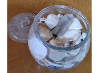 Jar Of Shells