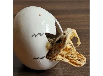 Snake Head In Porcelain Egg