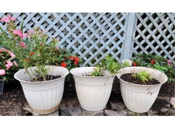 3 Plastic Pots With Flowers