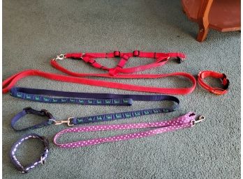 Leash Lot For Medium Sized Dogs
