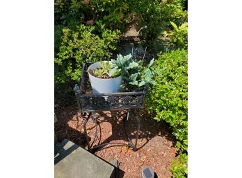 Metal Garden Table And Potted Plant