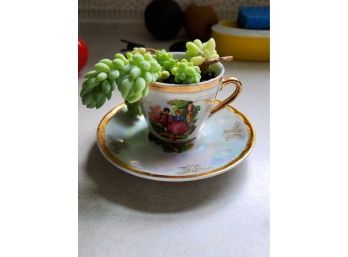 Plant In Mini Cup And Saucer