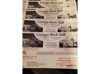 24 Antique Blotters - Cayuga Rock Salt - Myers NY Ephemera