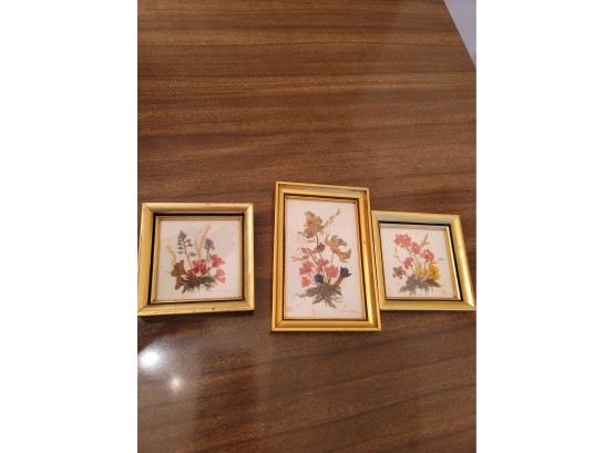 3 Miniature Framed Dried Flowers