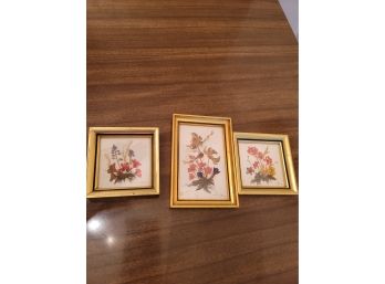 3 Miniature Framed Dried Flowers