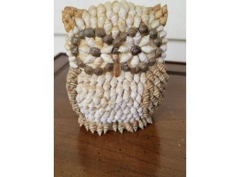 Large Owl Shell Art