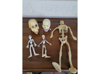 Skeleton Collection
