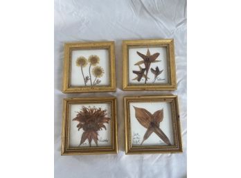 Lovely Set Of Vermont Botanical Pressed Flower Pictures