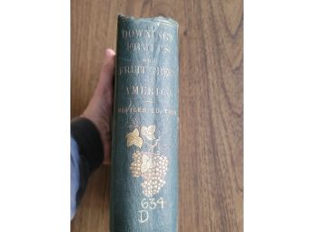 1862 Downing's The Fruit And Fruit Trees Of America