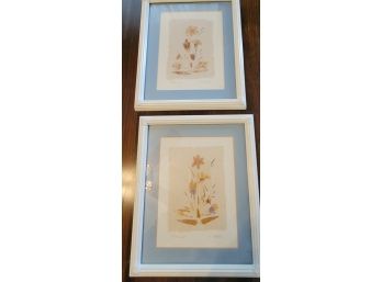 Pair Of Dried Pressed Flower Prints