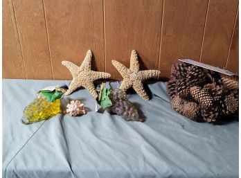 Starfish Lot