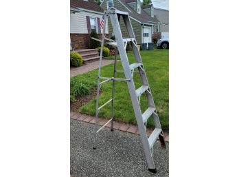 6ft Aluminum Ladder