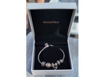 Pandora Bracelet  #2