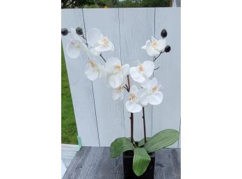 21' Tall Flowers With 5' Square Box