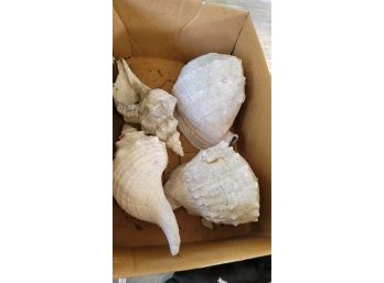 4 Very Large Shells