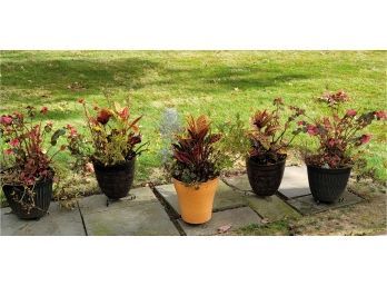 Plastic Planters W/ Stands 5 In All