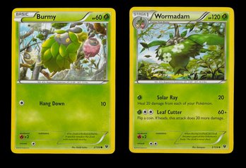 2016 Pokemon Burmy And Wormadam