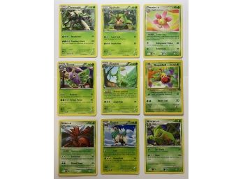 High HP Pokemon Earth Cards, Stage 1 And 2, Including Stage 2 Dustox 140 HP And Chesnaught 150 HP