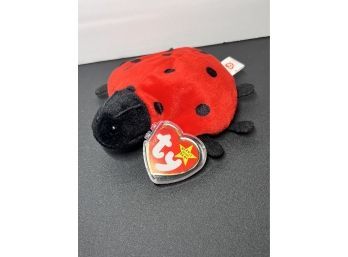TY BEANIE BABY LADYBUG Lucky LIMITED EDITION