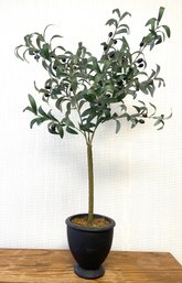 Sweet Potted Faux Olive Tree.  Perfect Everywhere!