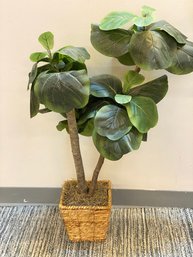 Fiddle Leaf Fig Artificial Plant About 3 Foot Tall