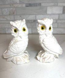 Pair Of White Stone Owls. ( Marble?Quartz?)  Heavy And Detailed. Approx 5 1/4 High.