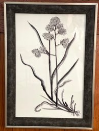 Uttermost Classic Botany Framed Print, Black And White And Bold