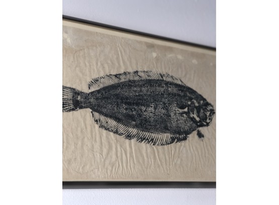 Vintage Gyotaku Fish Print, Framed