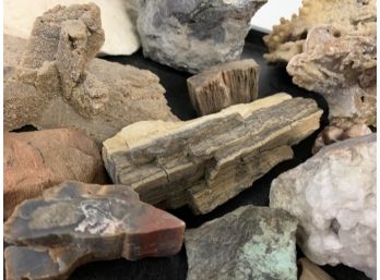 Rocks, Minerals & Petrified Wood