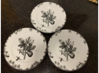 Vintage Fig Botanical Plate Black & White Made In Japan Set Of 3