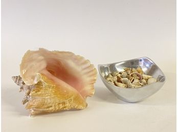 Large Old Conch Shell And Bowl Of Small Decorative Shells