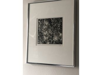 Black And White Photo, Matted Framed And Signed!