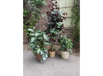 Faux Tree, Plant Trio